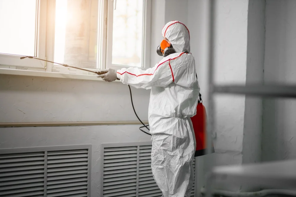 Professional mold remediation services in Hazlehurst, MS